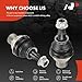 A-Premium 2 x Front Lower Ball Joint, Compatible with BMW 528i xDrive, 535d xDrive, 535i GT xDrive, 550i xDrive, 740Ld xDrive, 750i xDrive, 640i xDrive, 650i xDrive Gran Coupe, Alpina B7L xDrive
