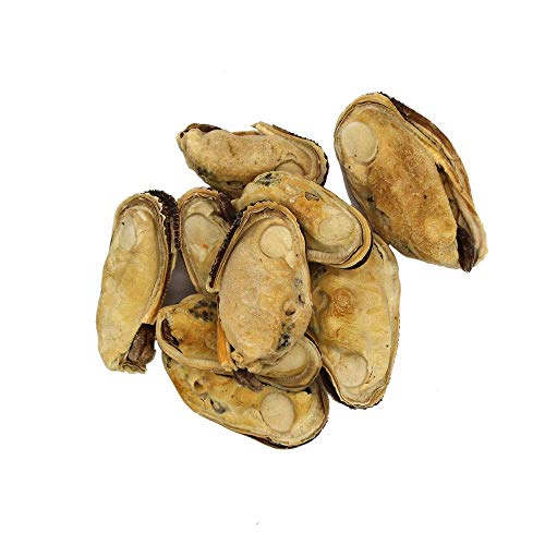 Lunderland Grünlippmuschel, ganze Muschel mit Kleinteilen (50g)