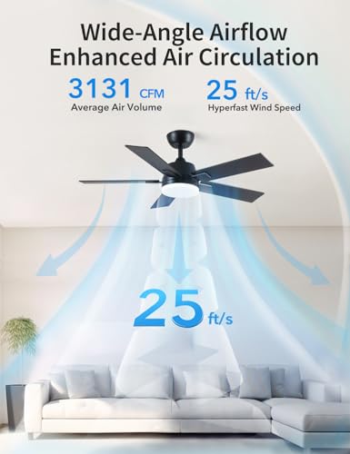 Image of Rayqueen 42 Inch Black Ceiling Fans with Lights and Remote,Includes Downrod