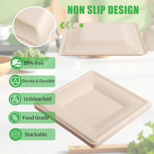 Assiettes biodégradables de fête pour simplifier vos réceptions - 5