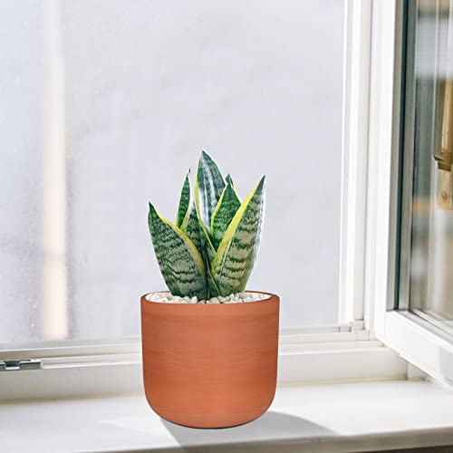 Thirtypot 4.6 + 6 Inch Terracotta Succulent Planter Pots Round Clay Pots With Drainage For Indoor Plants Set Of 2 #TOP4