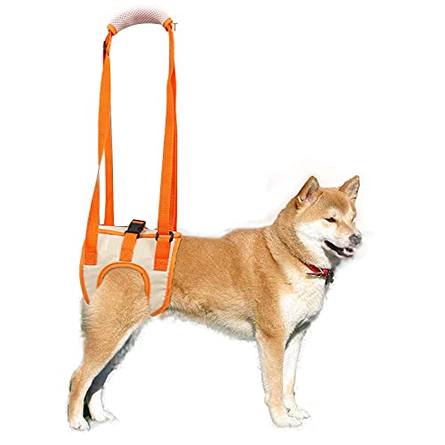 Ifukens n[lX    ^ s⏕n[lX t ybgp C[W[EH[Nn[lX Ckn[lX Up oRp ^p EȒP o֗ L