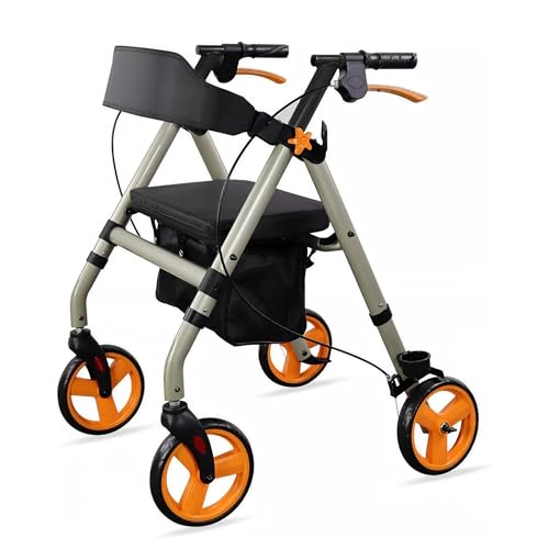 SPES Rollator Deambulatore in Acciaio Robusto (9 kg) - Ausilio Pieghevole Silver con Seduta Imbottita e Grandi Ruote Stabili (20 cm) - Freni Sicuri, Cestino e Porta Bastone (Portata 136 kg)