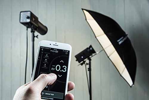 サンスターストロボ『MONOSTARC4#01103』