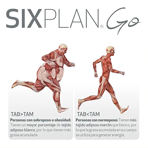 Nutricosmetics - Eladiet Sixplan Go 12 Stick