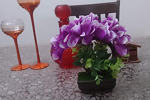 Cha Pakete MX 1200/2 RE EF ET-BG