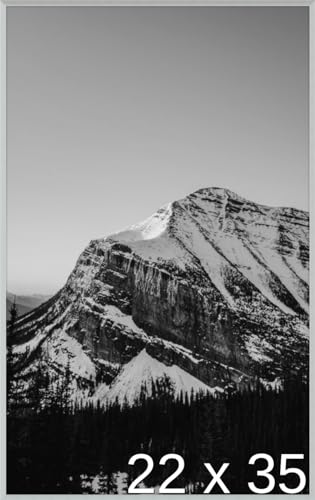 Frame It Easy 22 x 35 Satin Silver Metal Frame (Ashford)