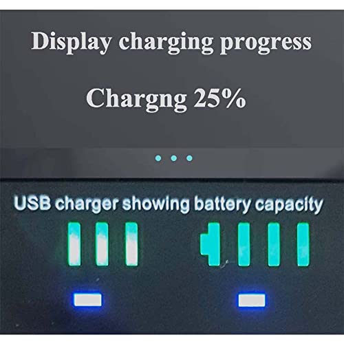 Black New Dual Battery Charger for Sony PSP 1000 2000 3000 Us Universal PS110