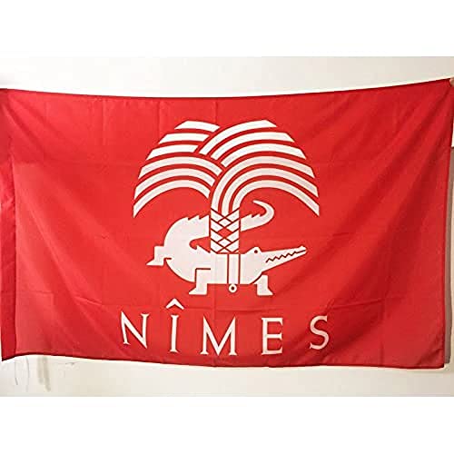 AZ FLAG, City of Nîmes Flag, 2x3 Ft, Nimes crocodile Banner with Sleeve, 100% Polyester, Fade Resistant, Vivid Colors
