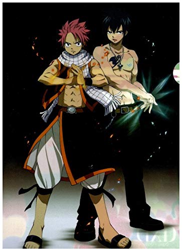 Amazon.co.jp: クリアファイル フェアリーテイル ナツ グレイ