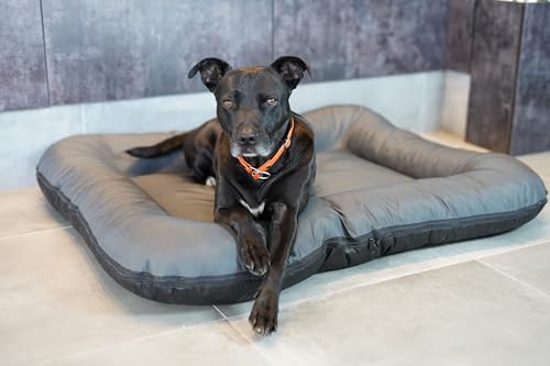 4L Textil KLEO Hundebett mittelgrosse Hunde waschbar Hundekissen mittelgrosse Hunde Hundematte Hundematratze Hundekissen XXL (M-90x70 cm, Graphit(Mit Reißverschluss))