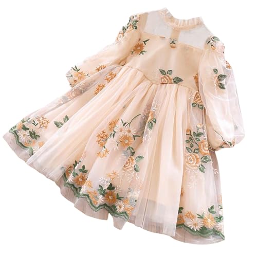 Girls Long Sleeve Embroidery Floral Dress Cute Full𝐲 Tulle Tutu Maxi Dresses Cute Vintage Flowy Princess Dress