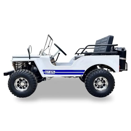 SYX MOTO 125cc Go Kart 4-Wheeler