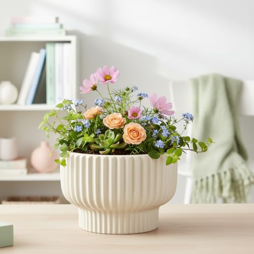 Image of Xtore Graceful Ribbed Ceramic Planter for Indoor Plants & Bonsai Display | Minimal Modern Tabletop Pot for Living Room, Desk & Balcony Styling (Beige, Planter only)