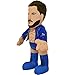 Bleacher Creatures WWE Finn Balor 10