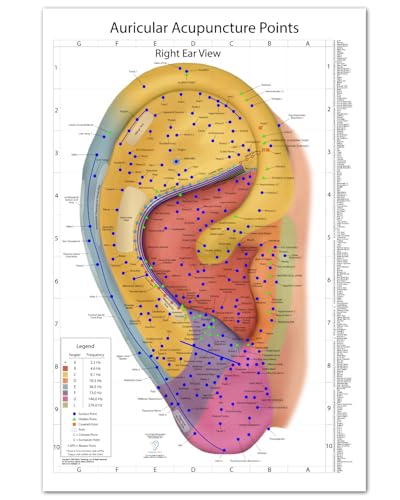 Comprehensive Auriculotherapy Wall Chart - 2025 Edition | 240+ Points, Chinese & European Acupuncture | Stunning 24x36 Full-Color Reference, Left Ear