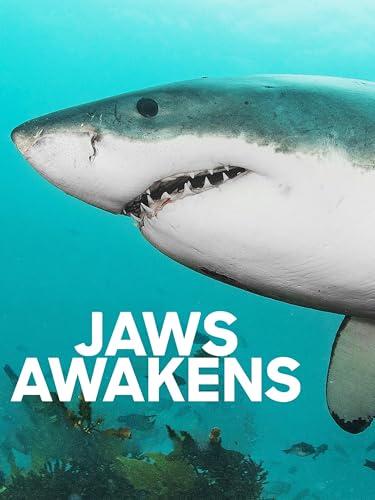 El despertar del tiburón