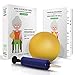 Healthy Seniors Chair Exercise Program with Mini Exercise Ball, Pump and Printed Exercise Guide. Ideal for Rehab or Physical Therapy for a Grandparent
