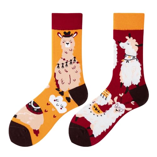NxnChc Calze Divertenti Unisex Per Donne E Uomini, Con Molti Motivi Alpaca Animali, Cibo, Frutta, Sport, Arte, In Cotone, Regalo, Motivi Asimmetrici Destro E Sinistro
