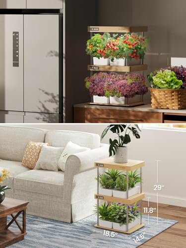 GROWNEER HydroEasy1.0 Hydroponics Growing System Kit, Beginner-Friendly Indoor Garden for Vegetable Fruit Herb, Solid Wood Design, Perfect Gift Idea, Full-Spectrum LED Lights for Maximum Growth - Image 6