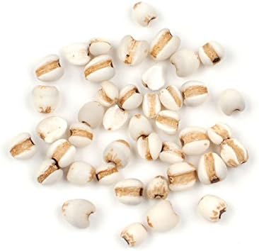 Organic Job's Tears, 25 Lb Bag