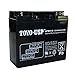 TOYO 12V 18 Ah SLA Battery (6FM18) Rechargeable Sealed Lead Acid AGM Battery with B1 Nut and Bolt Terminal