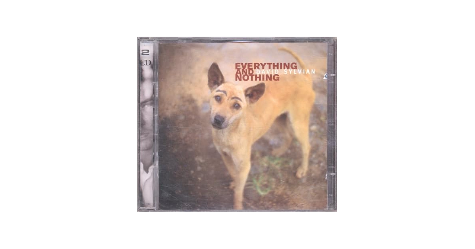未開封 David Sylvian Everything&Nothing 3LP Everything & Nothing - David Sylvian : Expect Everything And