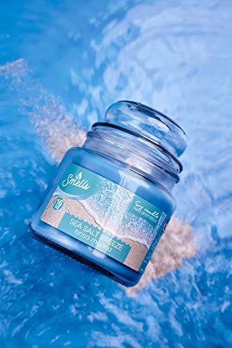 Smells - Premium Soy Wax Scented Candle 16Oz. - 100% Cotton Single Wick - Fragranced Candles That Eliminates Home And Office Odors: Food, Pets, Smoke And Others (1-Pack, Sea Salt Breeze) #TOP7