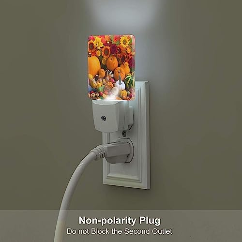Image of Fall Pumpkin Fruits Night Light Set of 2, Thanksgiving Auto Sensor LED Dusk-to-Dawn Nightlights, Plug-in Sensor Lamp for Bedroom Bathroom Kitchen Hallway Stairs Decorative