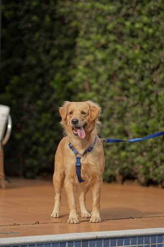 FreeFaro - Guia Flex 2.0 Blue | Extensão Flexível Anti-Impacto, Poliéster Resistente, Mosquetão com