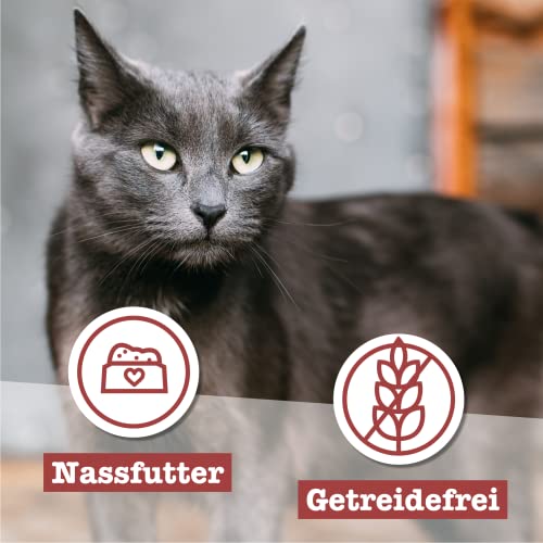 catz finefood Senior N°03 Huhn Katzenfutter nass - Premium Nassfutter für Ihre Senior Katze - getreidefrei, ohne Zucker, hoher Fleischanteil, Vitamine & Mineralien (16 x 85g Beutel)