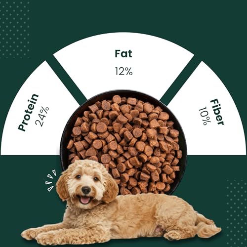Image of Plant Based Vegan Dog Food for Adult Dogs | Dry Dog Food for All Breeds | High Protein High Fibre Formula for Easy Digestion & Complete Nutrition | 1kg