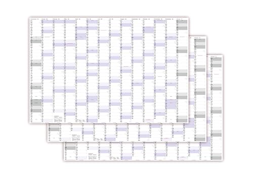3 Stück XXXL Wandkalender Special A0 2026 nass abwischbar (Format 120 x 80cm) Jahresplaner Wandplaner gerollt mit extra großen Tageskästchen