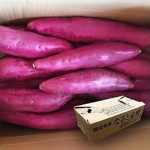 農家ソムリエーずなると金時5kg