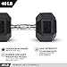 Day 1 Fitness Rubber Hex Dumbbell Shaped Heads to Prevent Rolling and Injury - Ergonomic Hand Weights for Exercise, Therapy, Building Muscle, Strength and Weight Training - 40 lb Single