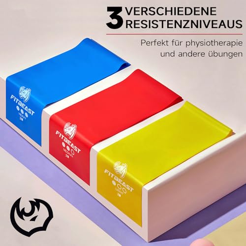 Fitnessband FitBeast Fitnessbänder 3er-Set, 2M