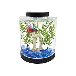 Tetra 1.1 Gallon Half Moon Fish Tank w/ Movable LED Light, Fish Tank for Betta, Aquarium Starter Kit