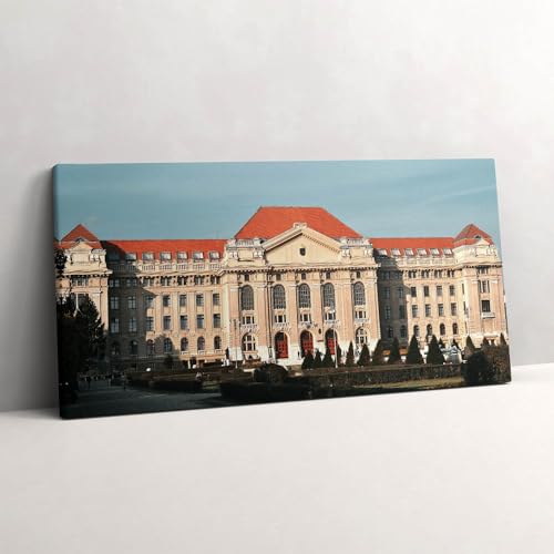 Peinture murale Wallfluent Université de Debrecen pour habiller un grand mur vide 140x70cm