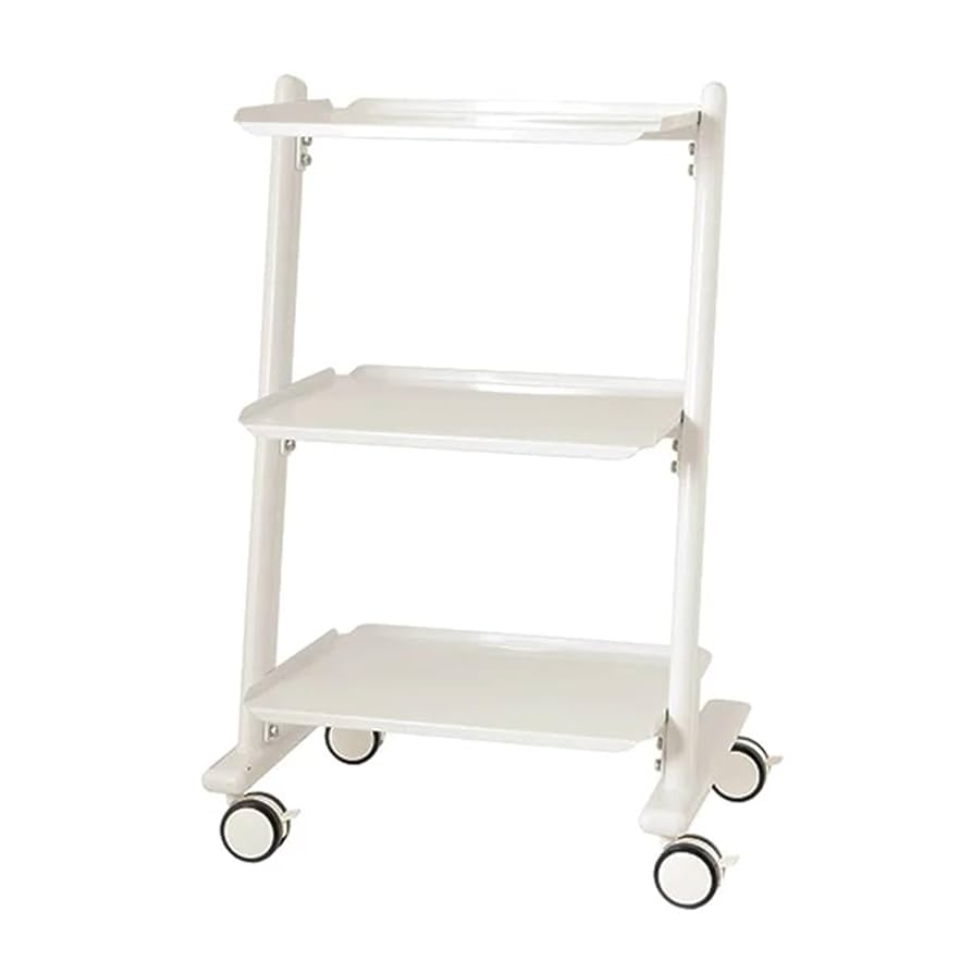 りんさん専用　エステワゴン Amazon｜エステ ワゴン 業務用美容機器専用ワゴン FORTUNA専用