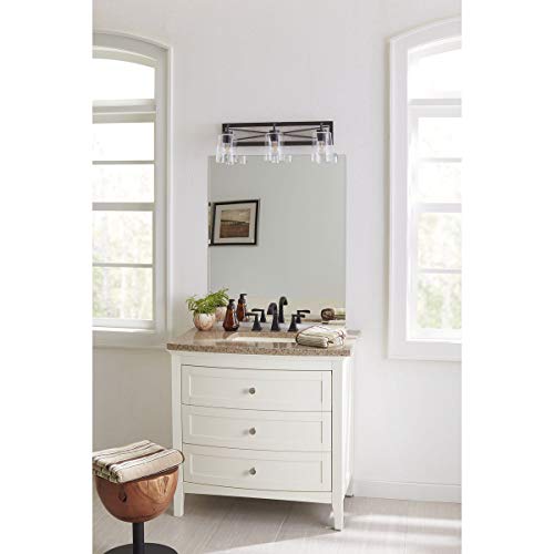 Progress Lighting Briarwood Collection 3-Light Clear Glass Coastal Bath Vanity Light Graphite,Black by Progress Lighting - Image 3