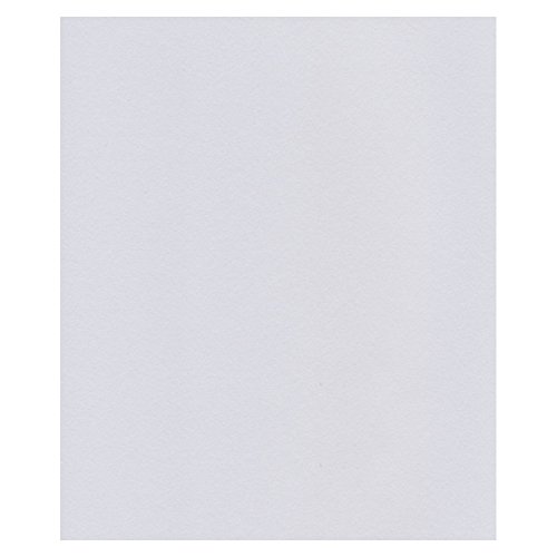 エスケント ケント紙 スターカラー 四切 ミスト 100枚 5732004