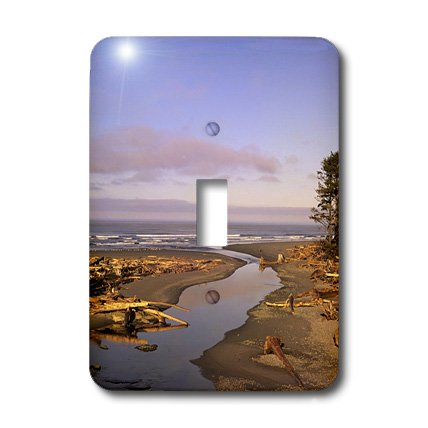 Interrupteur à bascule design 3dRose art Kalaloch Beach multicolore