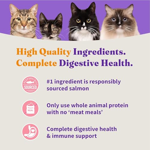 Halo Holistic Dry Cat Food, Wild-Caught Salmon & Whitefish Recipe, 6 lb - image 6