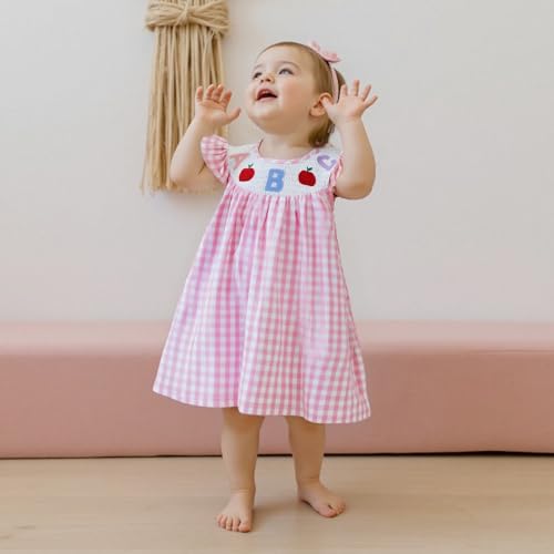 Toddler Girl Back to School Dress Doll Collar Embroidery Short Sleeve Smocked Dresses Kids Summer Plaid Dress2