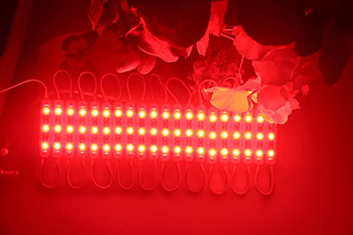 Image of Super Bright 200pcs 3 LED Module Red 2835 SMD Waterproof Decorative Light for Letter Sign Advertising Signs with Tape Adhesive Backside (Red)