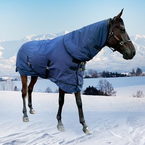 Image of Horse Turnout Blanket | Medium Weight Horse Blanket with 1200D 250g Cotton Filling | Detachable Neck Cover & Belly Wrap (72in /135cm)