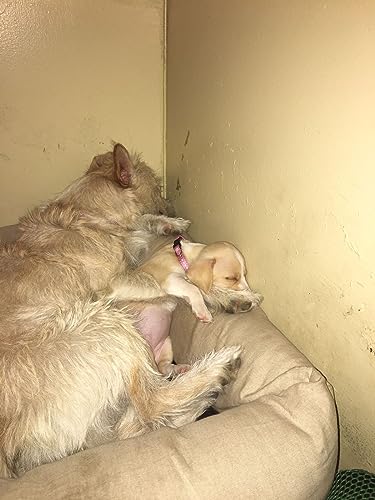 Aug 23, 23 Healthcare Jungle full of Zeros