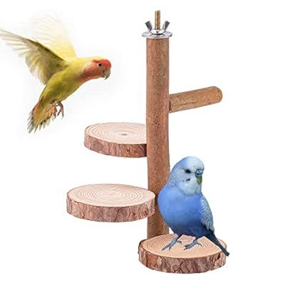 Mogokoyo Natural Wood Bird Perches Parrot Perch Birdcage Stands for Parakeets Cockatiels, Conures, Macaws, Lovebirds, Finches