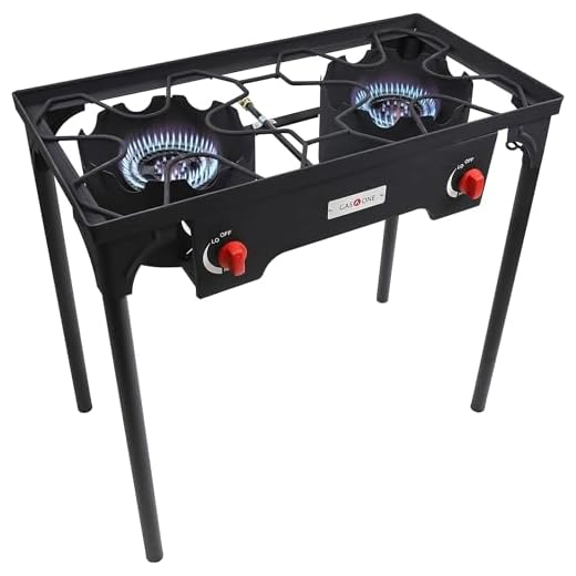 Gas One Double Burner Outdoor Stove