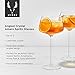 Viski Angled Stemmed Cocktail Glasses for Aperol Spritz, Campari Spritz, Tonic, Classic Cocktails, Elegant Long Stem Crystal Drinking Glasses, Perfect for Party Events & Celebrations, 16 oz, Set of 2